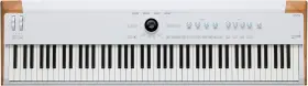 Arturia 196288392415 Astrolab 88-key Stage Keyboard