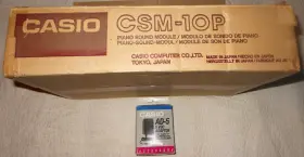 Csm-10p Casio Nib Vintage Midi Synthesizer Piano Sound Module With Ac Adapter