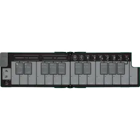 Korg 959112241800 Nanokey Fold Foldable Midi Keyboard - Alpine Green