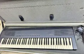 Dp-80 Korg Digital Piano With Heavy Duty Case Decent Shape Tested Does Work