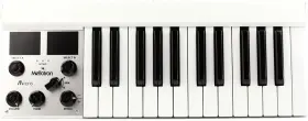 M4000dmicro Mellotron Micro Digital Synthesizer With One Hundred 24-bit Uncompressed Sounds