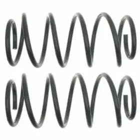 Moog 689700210645 Coil Spring Set