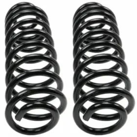 Moog 689700221436 Coil Spring Set