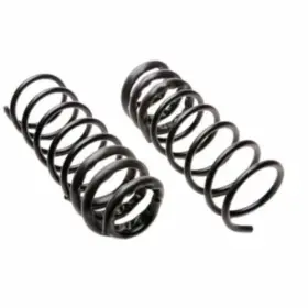 Moog 689700223959 Cc-685 Coil Spring Set