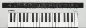 Pac 313043086062 Reface Cs Portable Analog Modeling Synthesizer White