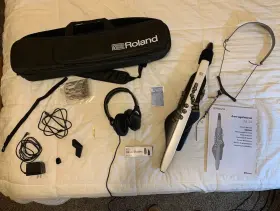 Ae-20 Roland Aerophone Digital Wind Instrument