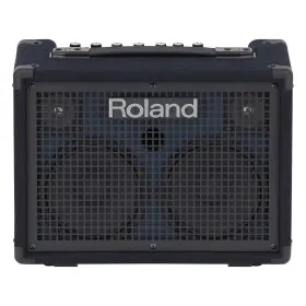 Kc-220 Roland Battery Powered Stereo Keyboard Amplifier