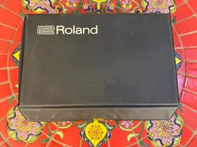 Roland Pg200 Original Case