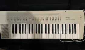 Ps-20 Yamaha Legendary Synth Impeccable Condition Iconic Beach House Sound