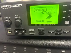 Tg300 Yamaha Tone Generator Synth Module Midi Stereo Usa Seller 120v Oem Ac