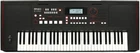 Roland E-X50 61-KEY Arranger Black New. Price: $599.99.