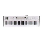 Kodamo MASK1 Bitmask Keyboard Synthesizer Used. Price: $2350.00.