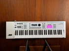 Roland 61-KEY Synthesizer Special Edition White W/ Gig Bag JUNO-DS61W Used. Price: $750.00.