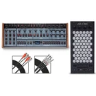 Oberheim OBX8 Desktop And Exquis Mpe Bundle New. Price: $3842.98.