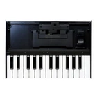 Roland K-25M 25-KEY Boutique Module Dock Usb Midi Portable Keyboard 12-IN New. Price: $148.99.