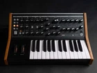 New Moog Music Subsequent 25 Analog Synthesizer. Price: $2574.00.
