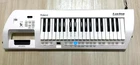 Roland Lucina AX-09 Shoulder Keyboard Synthesizer 37 Keys White Used Strap. Price: $648.49.