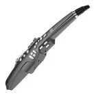 Roland Digital Wind Synthesizer Aerophone AE-10 Graphite Black Box New. Price: $1066.00.