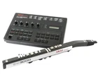 Akai And EWI3000M Sound Module Soft Case Rare Used. Price: $628.00.