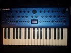 Modal Electronics Cobalt 8 37 Key Analog Modeling Synthesizer Used. Price: $445.00.