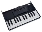 Roland K-25M Keyboard Unit Boutique ,new In Box //armens//. Price: $169.00.