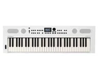 Roland GOKEYS5-WH 61-KEY Music Creation Keyboard White Open. Price: $489.99.