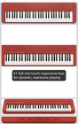 Casiotone CT-S1 61-KEY Touch-sensitive Retro Keyboard Sleek Design New. Price: $225.99.