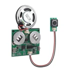 Sound Module, Icstation Programmable Chip For Greeting Rechargeable New. Price: $23.42.