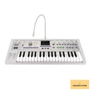 - Synthesizer/vocoder White (MICROKORG2WH) New. Price: $525.63.