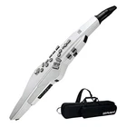 Roland Aerophone AE-20W AE20W Digital Wind Instrument Synthesizer New. Price: $749.99.
