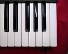Yamaha DX21 (DX9 DX27) Key "e" For Replacement Ex Condition DX-21 DX-9 DX-27 Used. Price: $5.90.