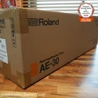 Roland Aerophone Pro AE-30 Digital Wind Instrument Zen-core With Carry Bag New. Price: $1399.99.