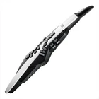 Roland Digital Wind Synthesizer Aerophone AE-20 White Box New. Price: $1014.48.