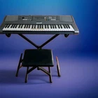 Yamaha PSR-E313 61-KEY Keyboard PSRE313 Musical Instrument 9.3LB Manual Vg Used. Price: $99.99.
