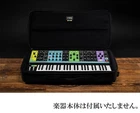 Moog Sr Series Case Black Backpack Style Synthesizer Used. Price: $636.00.